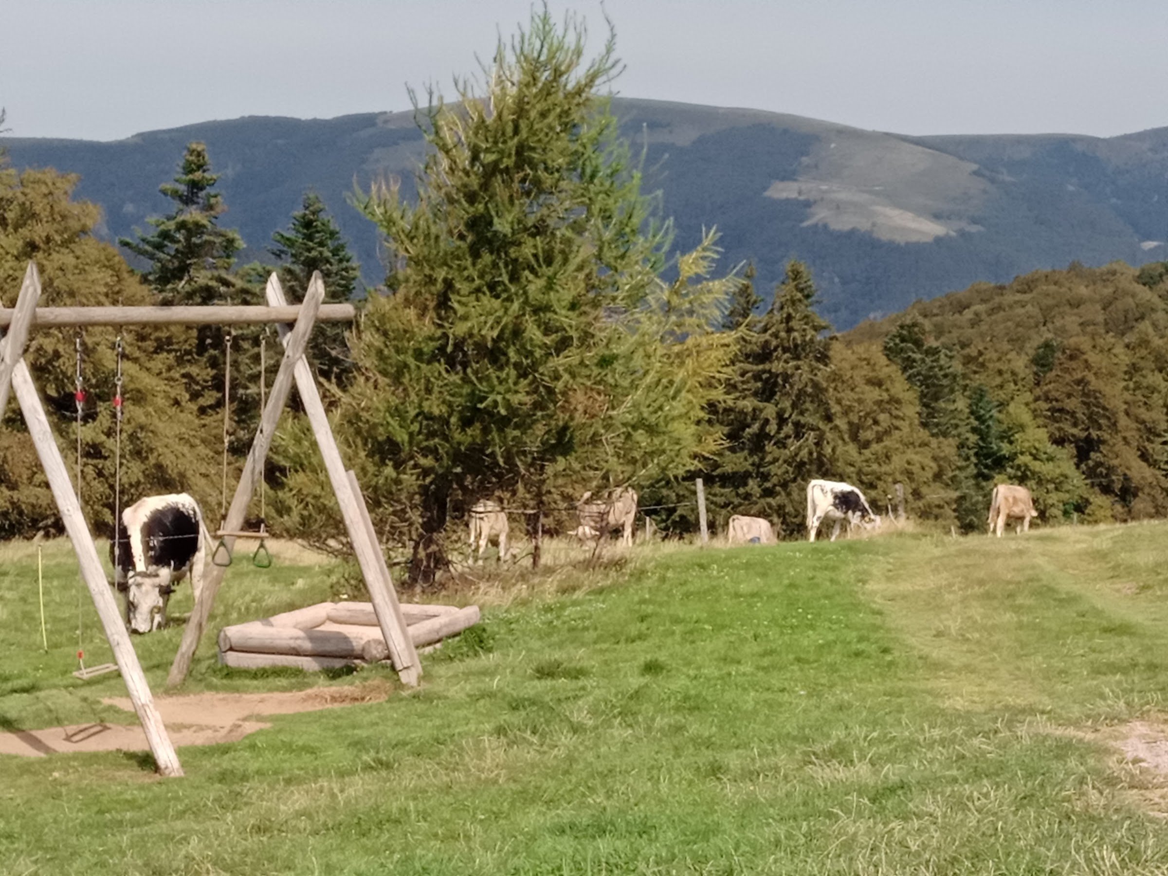 Ferme Auberge Uff Rain